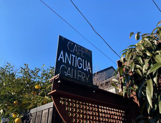 TOKYO POWER URANAI (対面・出張鑑定）