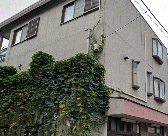 ミラクル・キャット