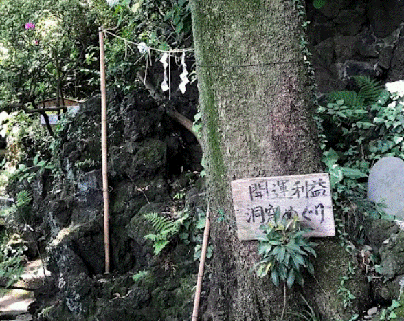 霊聴・霊視鑑定 虹橋ひかる